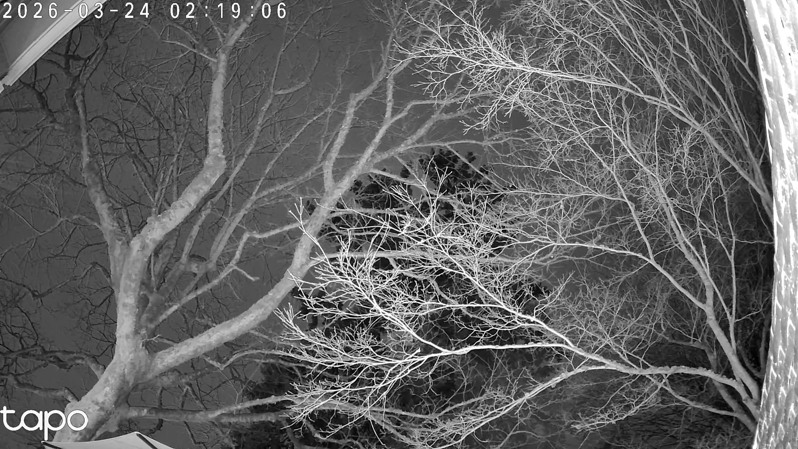 Seattle skyline webcam preview